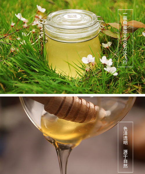 蜂蜜食品拍摄产品图片制作淘宝详情页南阳淘邦电商美工