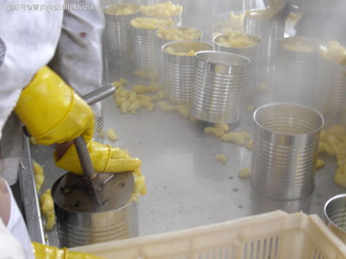 澳克拉食品orkla foods执行总裁应邀访问孚美集团青岛孚美食品工厂