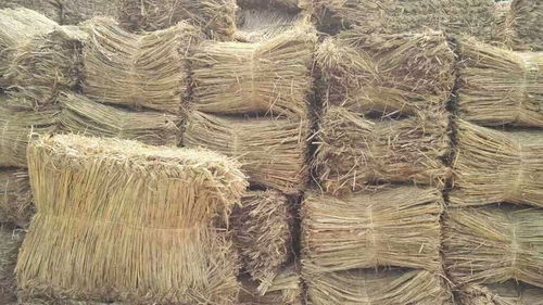 制作防汛草袋的原材料 稻夫草编制品厂