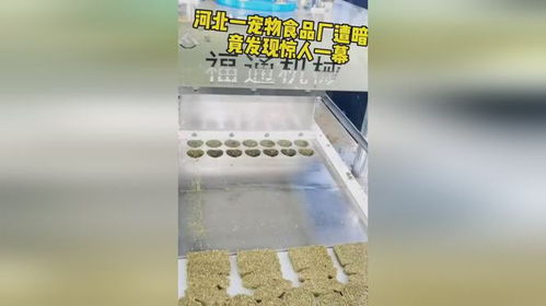 河北宠物食品厂使用磨牙草饼压块机,节约成本