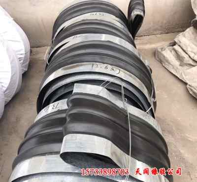 烟台蓄水池钢边式橡胶止水带 国标现货 news贡献