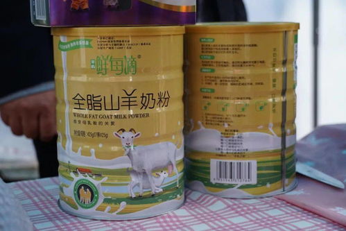 消费扶贫泾阳在行动 之泾阳特色农副产品亮相西安城