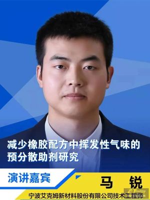 橡胶行业齐聚海口,进行年内收官总结